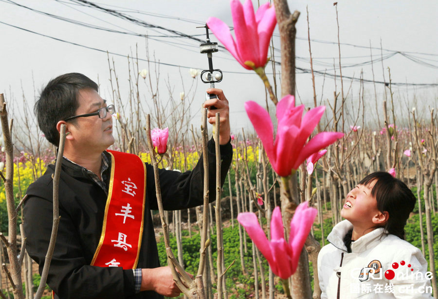 【河南供稿】河南寶豐市民賞花踏春 樂享科普大餐