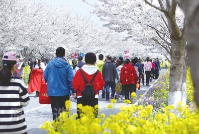 【旅遊資訊-圖片】來河南約一場“花漾春天”