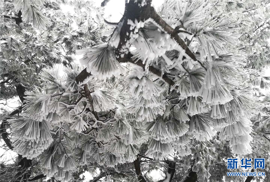 平頂山市魯山縣：初雪到 美景至