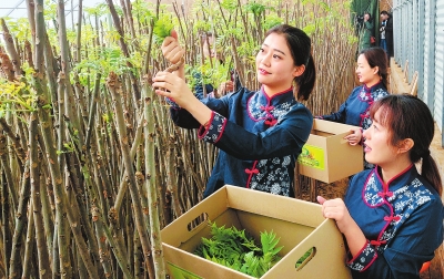 【河南好項目-圖片】科技扶貧見成效