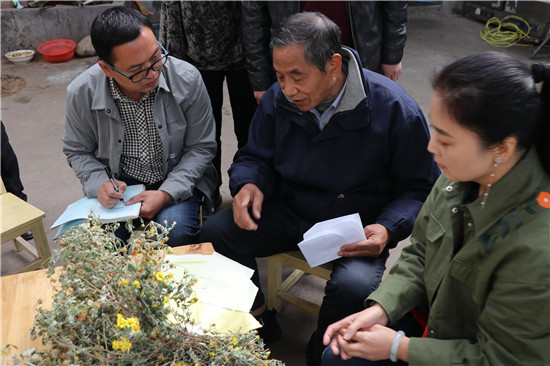 山花野草變為寶 染織研究教學實驗基地在河南汝州掛牌成立