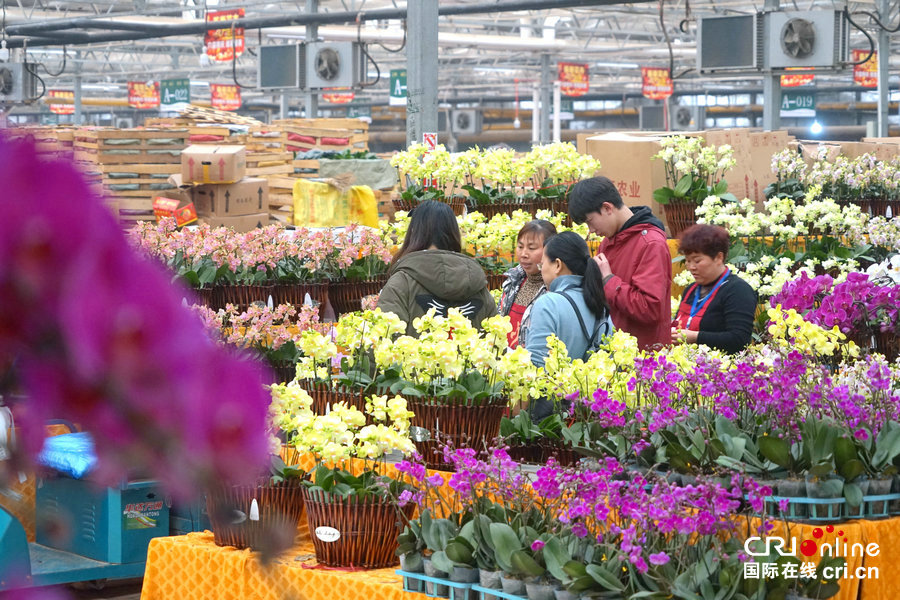 【焦點圖】【移動端焦點圖】鄭州市民熱熱鬧鬧買年貨 迎新年