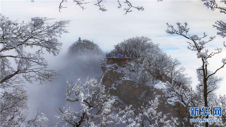 河南濟源：“雪”色王屋山 美輪美奐