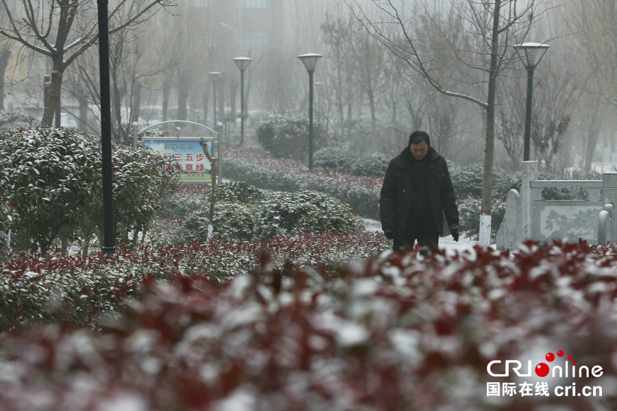 【焦點圖-大圖】【移動端-焦點圖】【圖説4】河南寶豐迎來降雪天氣