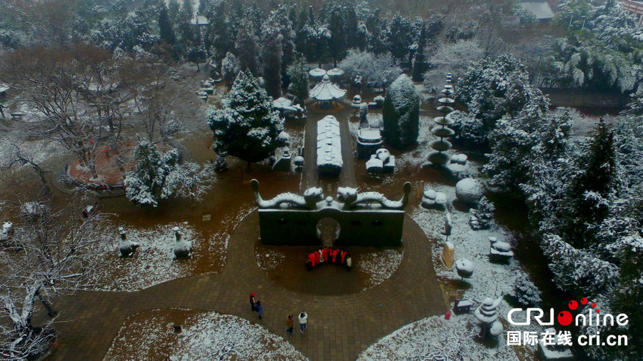 【焦點圖-大圖】【移動端-焦點圖】【圖説1】週口淮陽降瑞雪 太昊陵銀裝素裹美不勝收