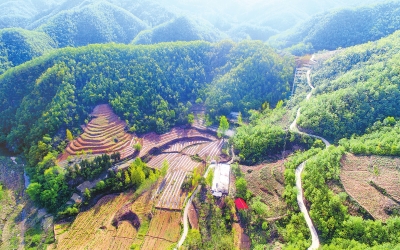 【中原優品-圖片】南陽市淅川縣西簧鄉桃花村裏的創業人