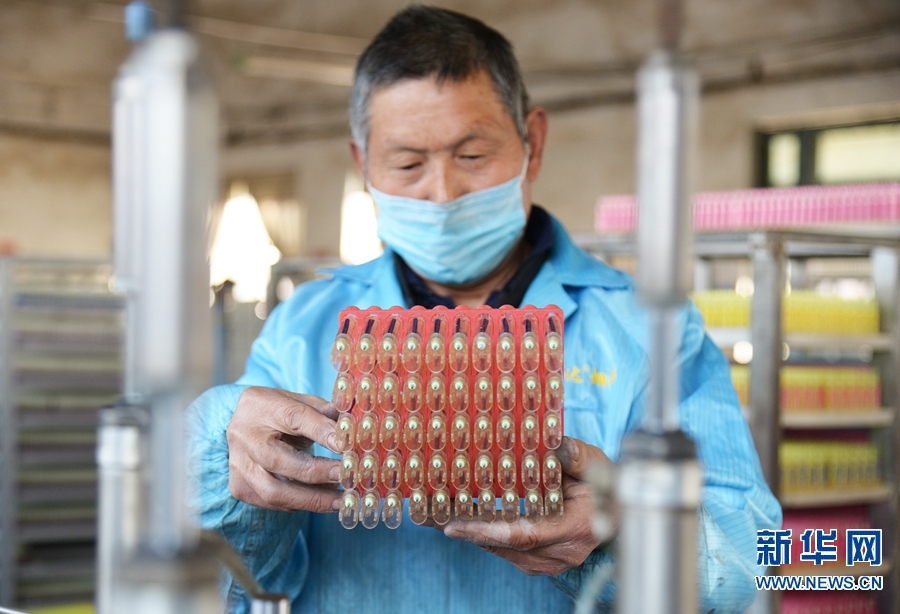 【城市遠洋】【焦點圖-大圖】【移動端-輪播圖】河南夏邑：規模以上企業復工忙