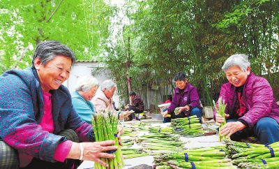 【河南好項目-圖片】濮陽特色種植助脫貧