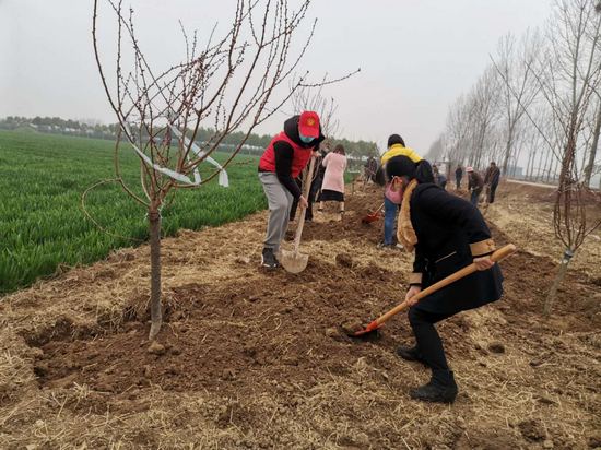 【河南供稿】平頂山市寶豐縣：最是一年春光好 植樹添綠正當時