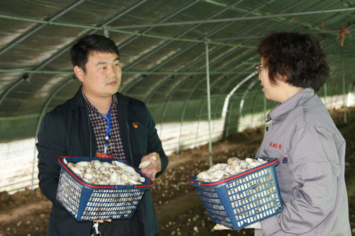 【河南供稿】平頂山市寶豐縣種植特色農作物 助民增收