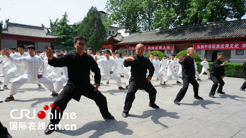 【河南原創】河南溫縣：讀拳譜·學拳論活動在陳家溝舉行