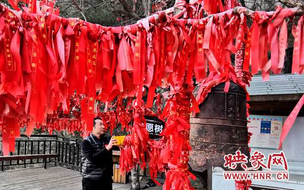 八項免費服務送溫暖 南陽老界嶺景區推出“春節就地健康遊”