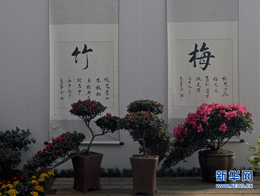 “綠滿商都 花繪鄭州”系列花展迎新春