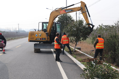 【河南供稿】平頂山市寶豐縣：公路靚了 路域美了