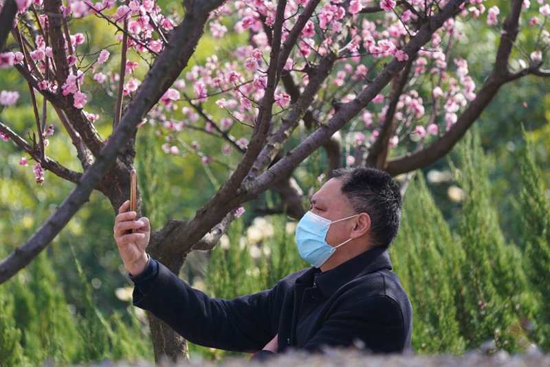 河南信陽：春到人間草木知