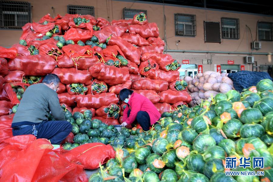 河南春節市場農産品供應充足