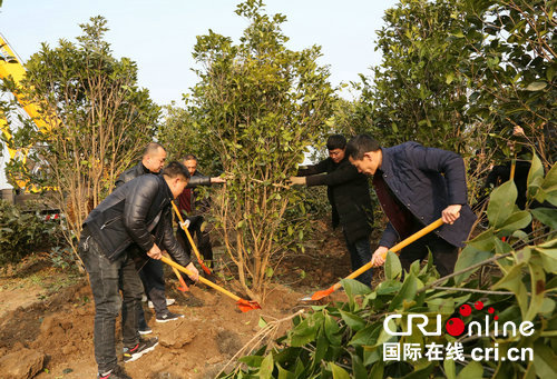 【環保-文字列表】【移動端-文字列表】河南寶豐：林業生態建設 提升人居環境