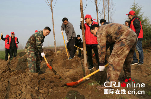 【環保-文字列表】【移動端-文字列表】河南寶豐：林業生態建設 提升人居環境