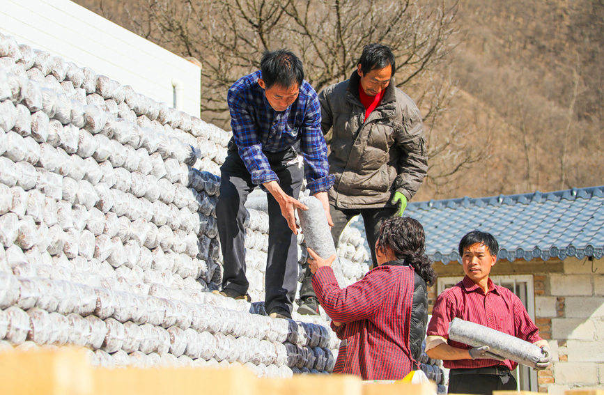 河南盧氏：人勤春早碼“銀山”