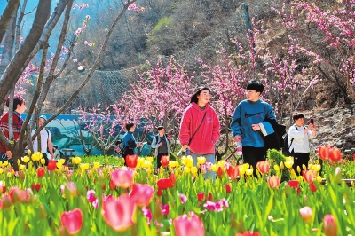 河南省氣象局發佈花期預報