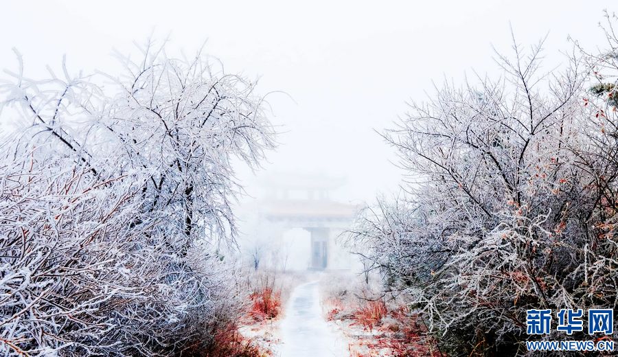 三門峽：一場“桃花雪”扮美“豫西後花園”