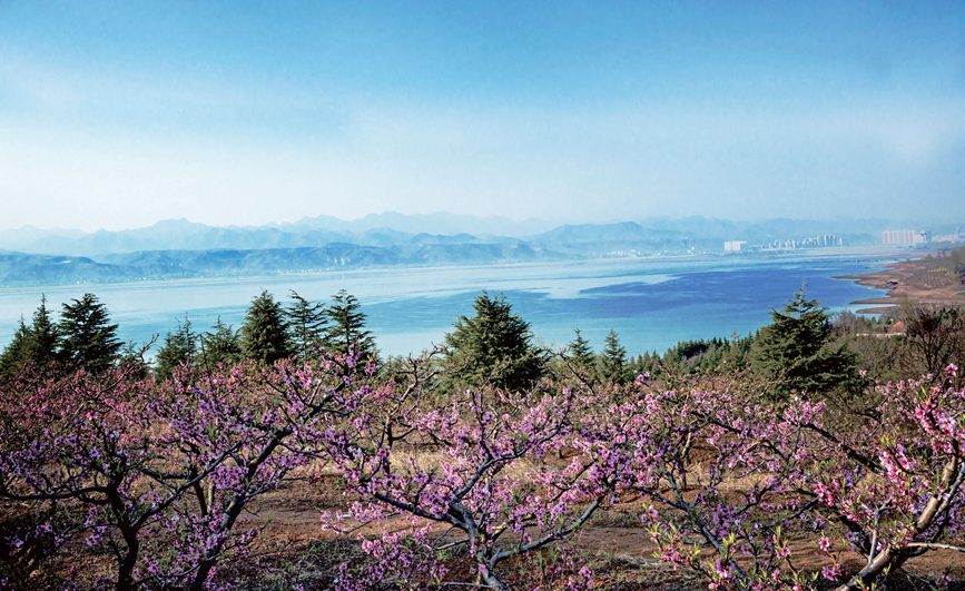 【城市遠洋】洛陽嵩縣：待到春花爛漫時