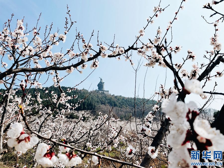 河南永城：“旅遊+農業”助力鄉村振興