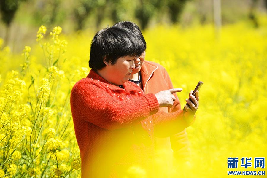 信陽市羅山縣：錦繡大地春意濃