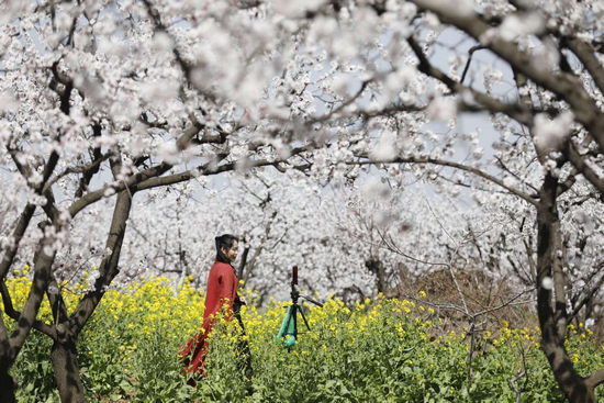 【河南供稿】平頂山市寶豐縣張溝村：一個落後小山村的華麗蛻變