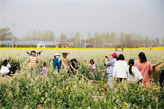 【原創】平頂山市寶豐縣第二屆龍王溝油菜花鄉村旅遊節開幕_fororder_圖片3