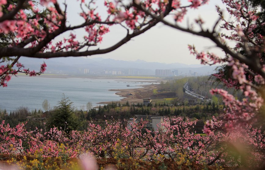 【城市遠洋】洛陽嵩縣：待到春花爛漫時