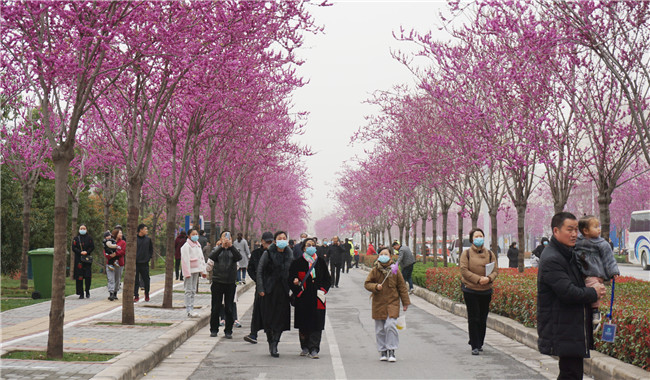 【原創】河南省汝州市第一屆紫荊花旅遊文化節開幕_fororder_3.JPG