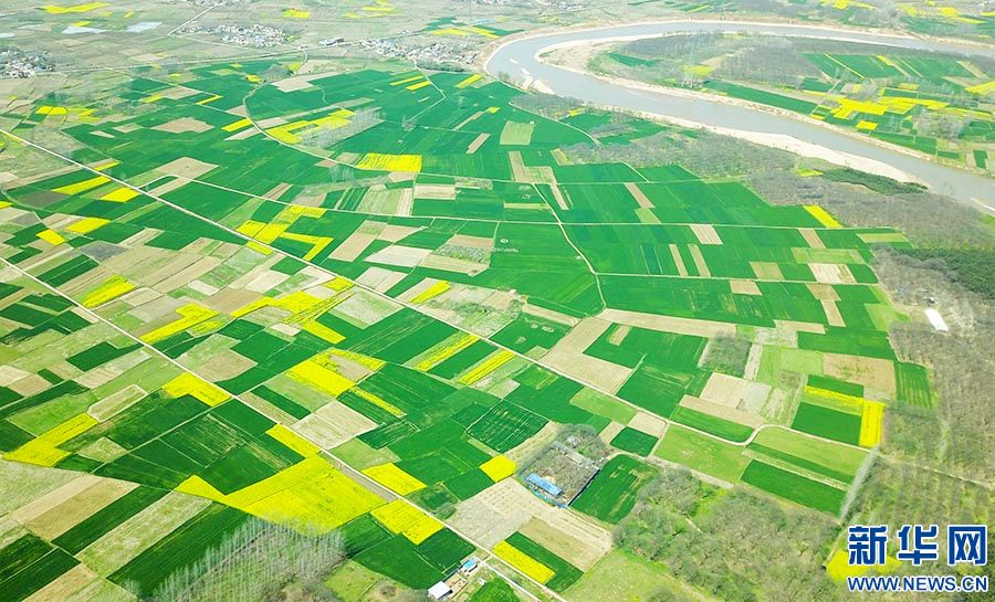 信陽市羅山縣：錦繡大地春意濃