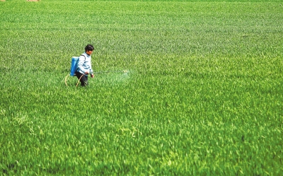 河南省春耕備耕期間農資供應足 種糧熱情高