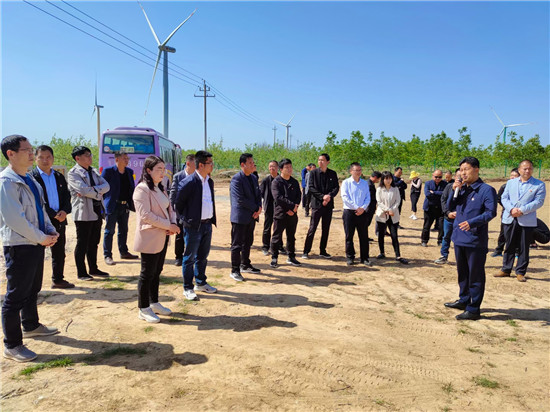 【原創】三門峽靈寶市函谷關鎮：逐村觀摩比亮點 整鄉推進促振興_fororder_靈寶市函谷關鎮組織開展2021年第一季度“逐村觀摩 整鄉推進”活動。 攝影 陳琳