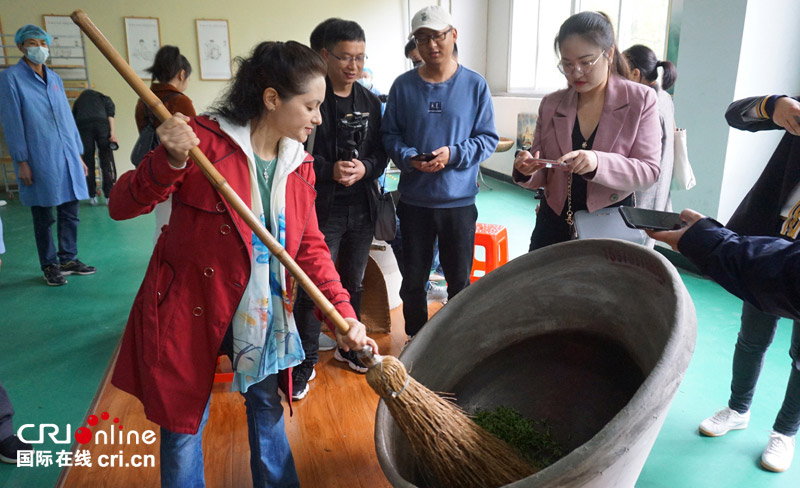 中外網紅在信陽：赴一場茶香之旅 看“小茶葉”如何托起“大産業”_fororder_WechatIMG14251