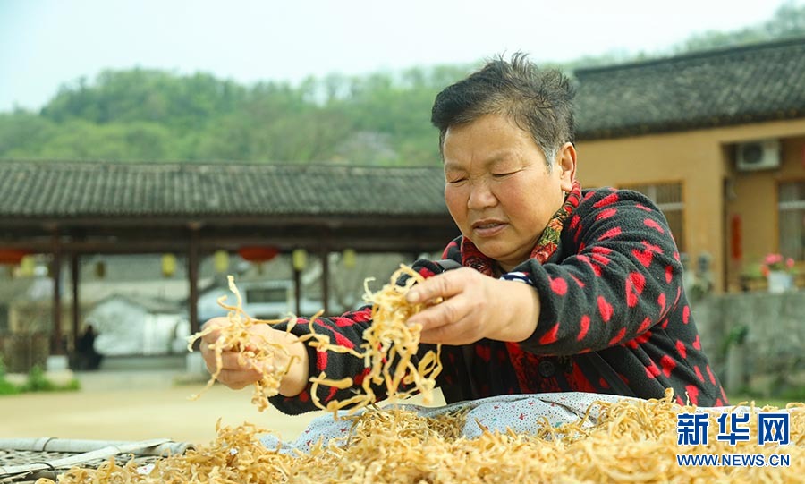 信陽新縣：昔日破爛山 今日幸福塆