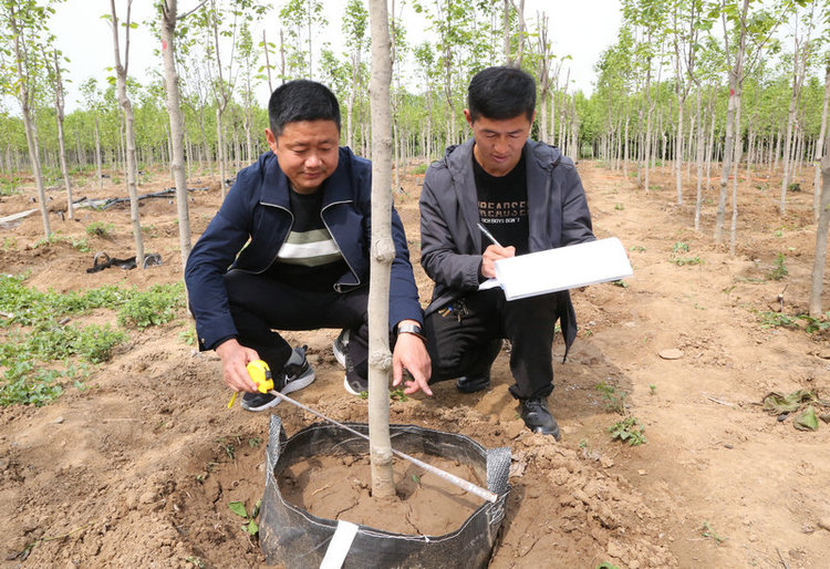 OK【河南供稿】平頂山市寶豐縣：吸納農村剩餘勞動力家門口打工助增收