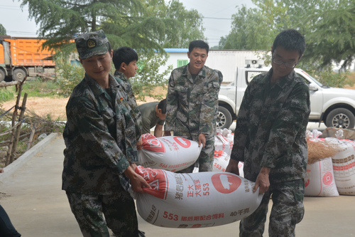 【河南供稿】河南省南陽市桐柏縣退役軍人搶收小麥解民憂