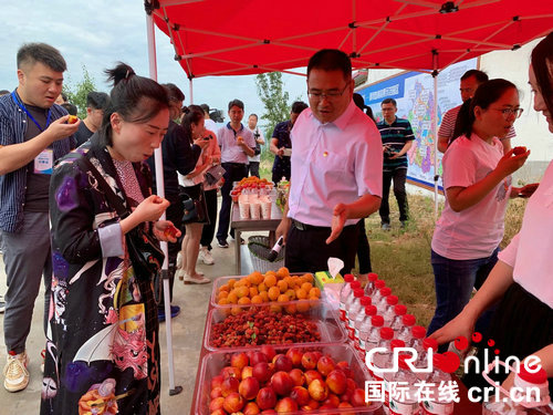 【河南原創】平頂山市魯山縣：小農業大文章 助力河南更出彩