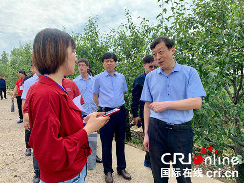 【河南原創】平頂山市魯山縣：小農業大文章 助力河南更出彩