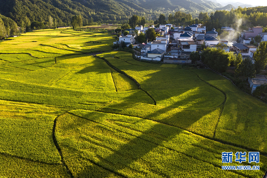 平頂山魯山：美麗鄉村多姿多彩