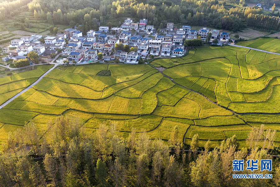 平頂山魯山：美麗鄉村多姿多彩