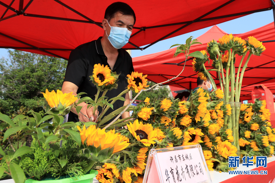 河南許昌：“科技大集”體驗科技魅力