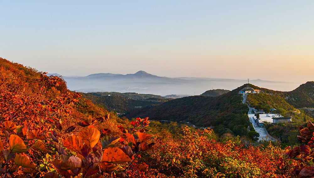 河南鞏義長壽山：漫山紅遍 層林盡染秋意濃