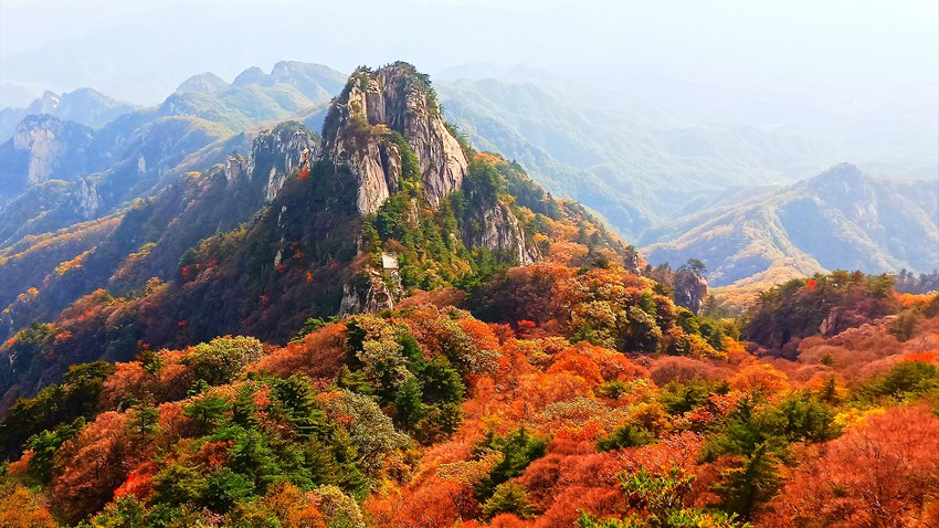 領略“中原獨秀” 河南堯山紅葉節開幕