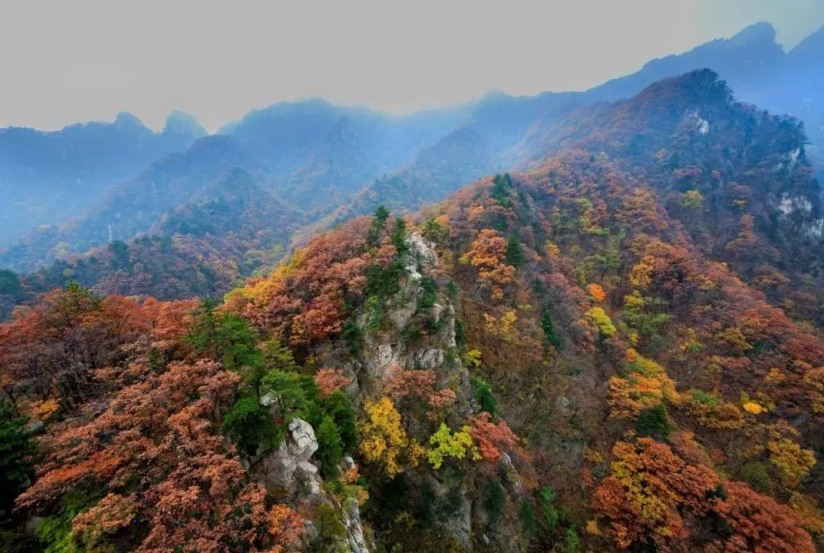 領略“中原獨秀” 河南堯山紅葉節開幕