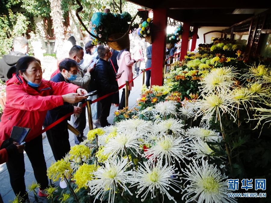 河南開封：菊香迎客來