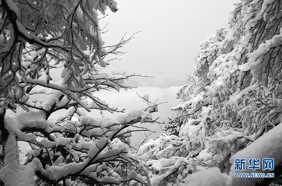 平頂山魯山：堯山雪景美如畫