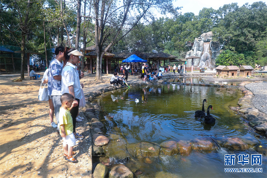 河南信陽：南灣湖風景如畫引客來